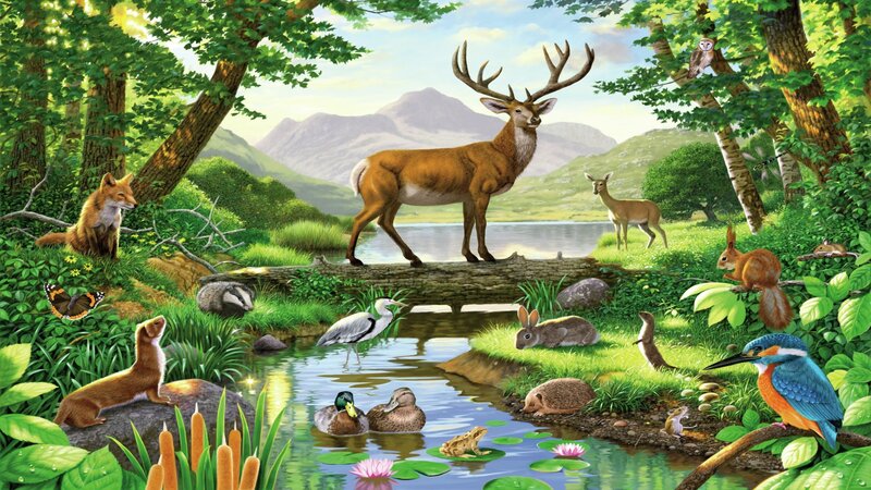 Deer on Log Bridge