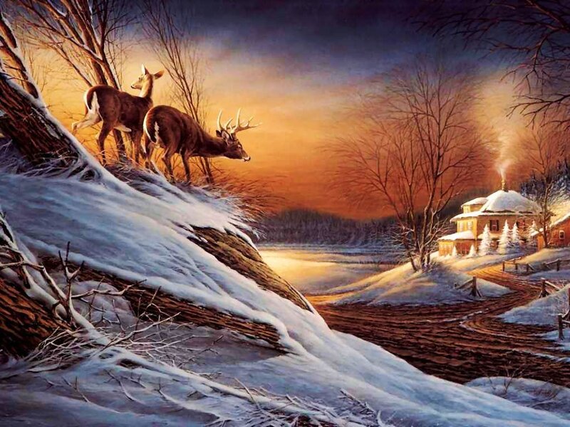 Deer on Snowy Hill — Orange