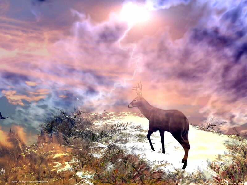 Deer on Snowy Hill — Purple