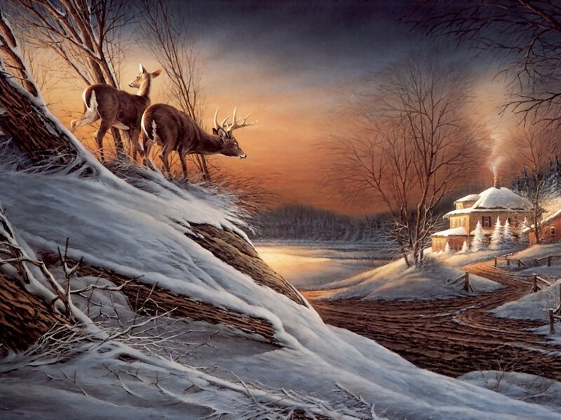 Deer on Snowy Hill — White
