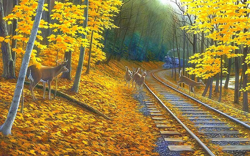 Deer on Train Tracks — Yellow