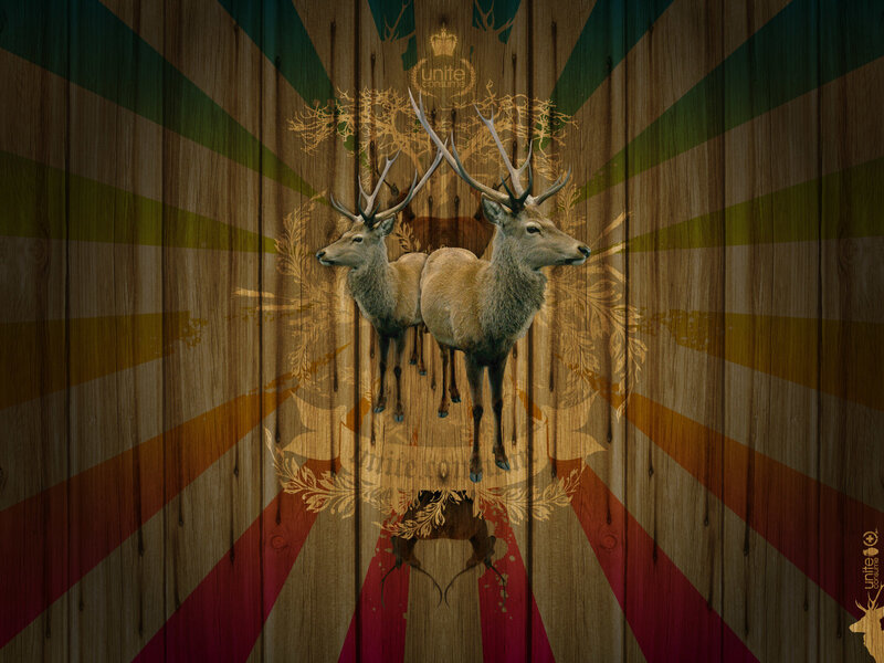 Deer on wooden background
