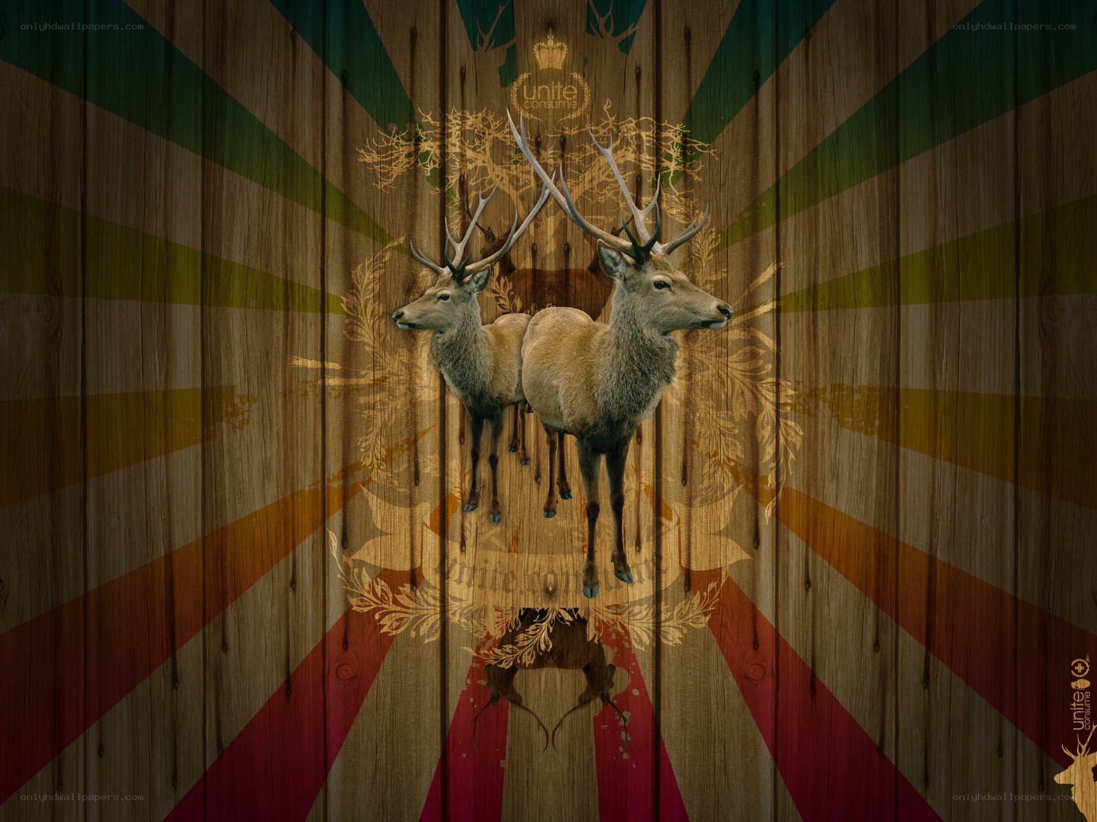 Deer on wooden background