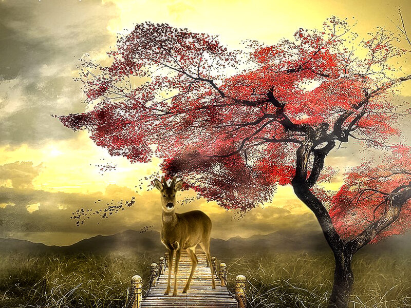 Deer on Wooden Bridge