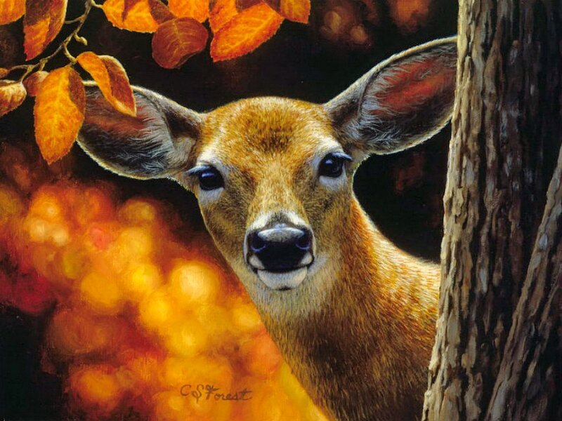 Deer Peeking from Tree