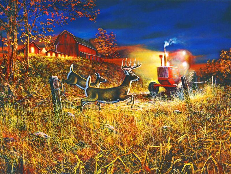 Deer Running from Tractor