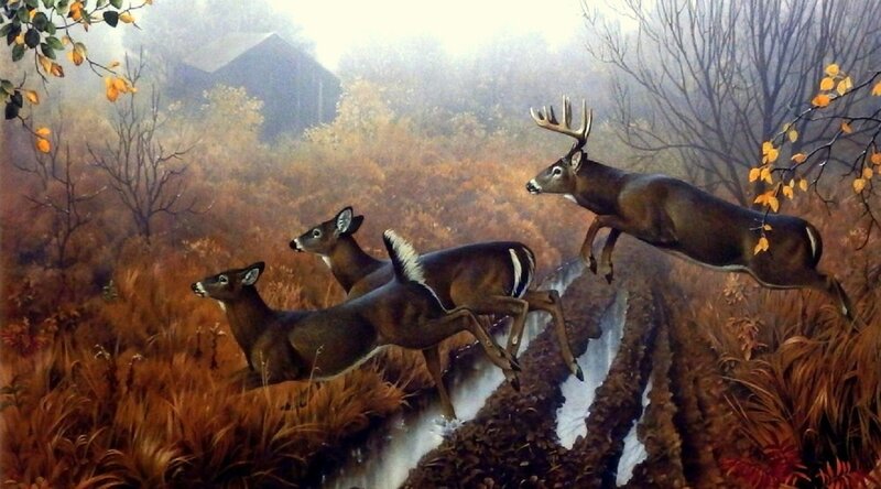 Deer Running in Field — Brown, Dramatic