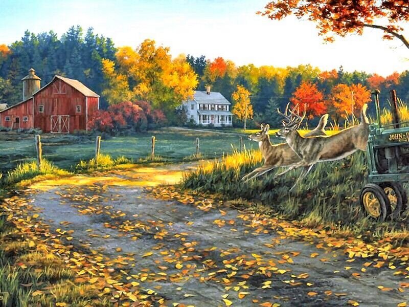 Deer Running on Farm