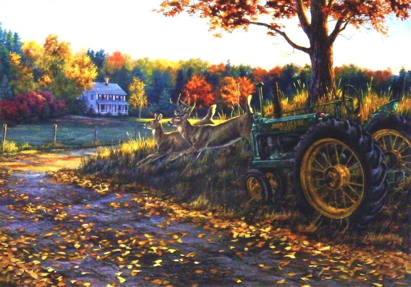Deer Running Past Tractor