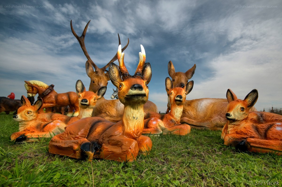 Deer sculptures on grass
