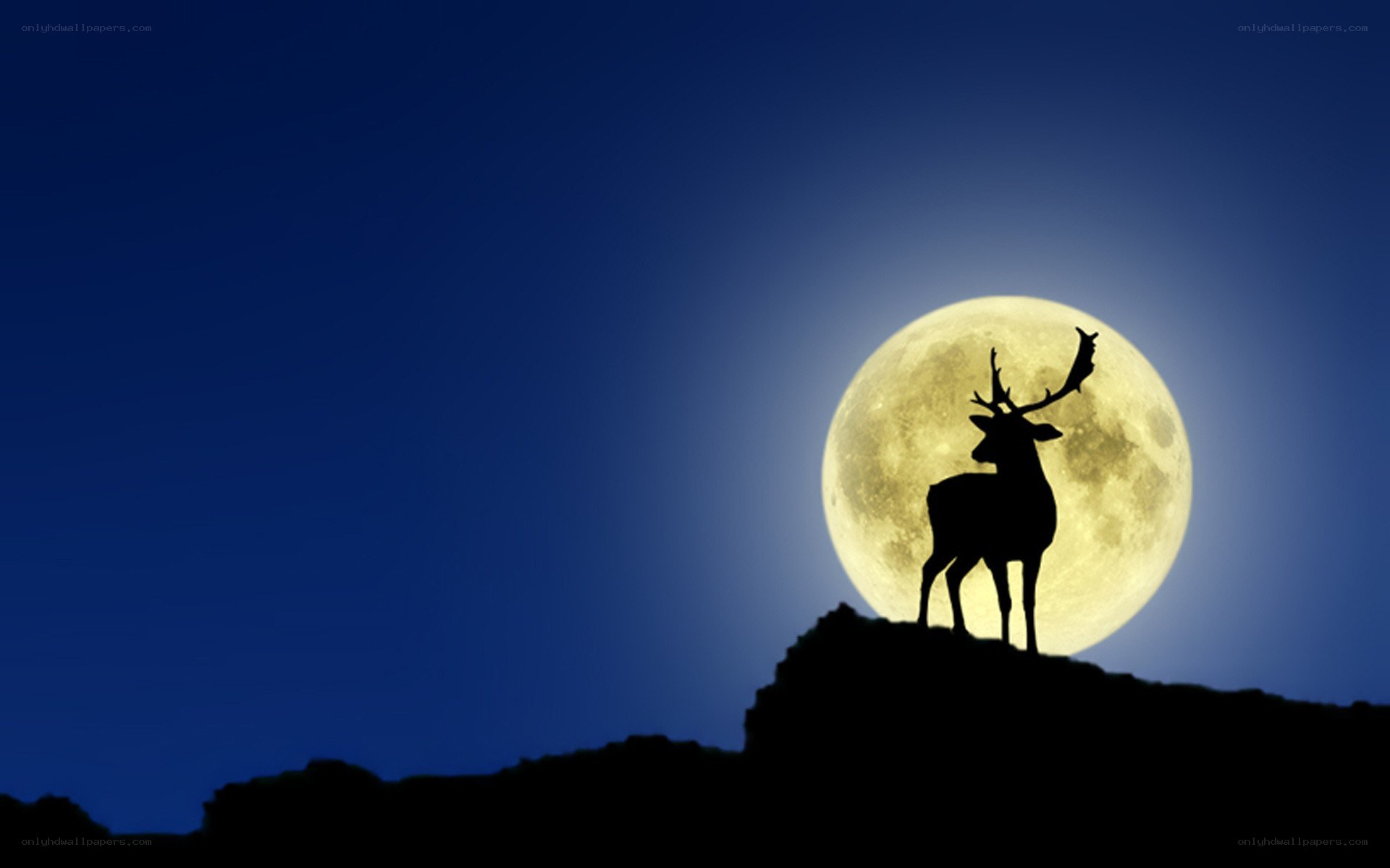 Deer silhouette against full moon