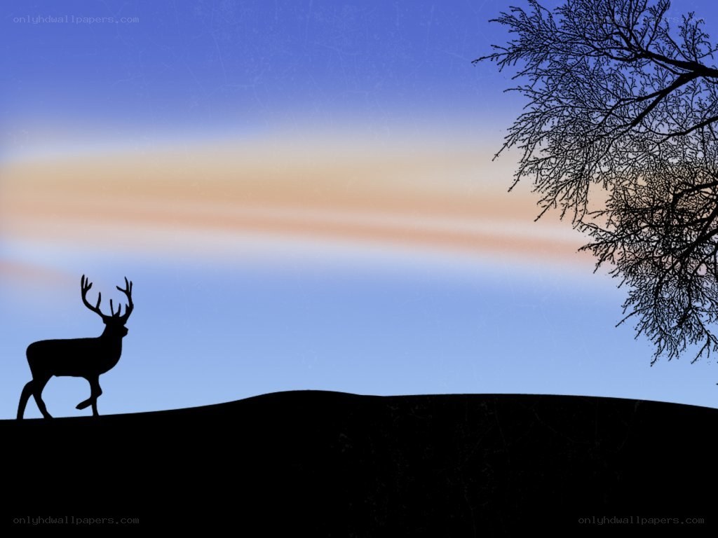 deer silhouette at dusk