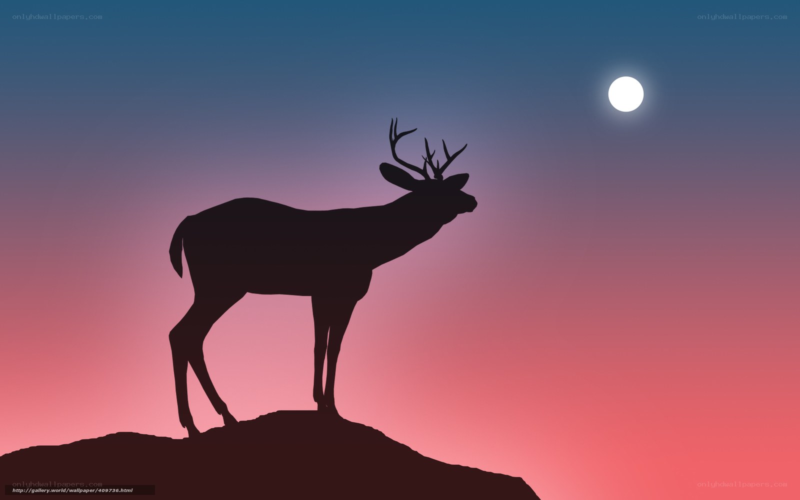 deer silhouette at dusk