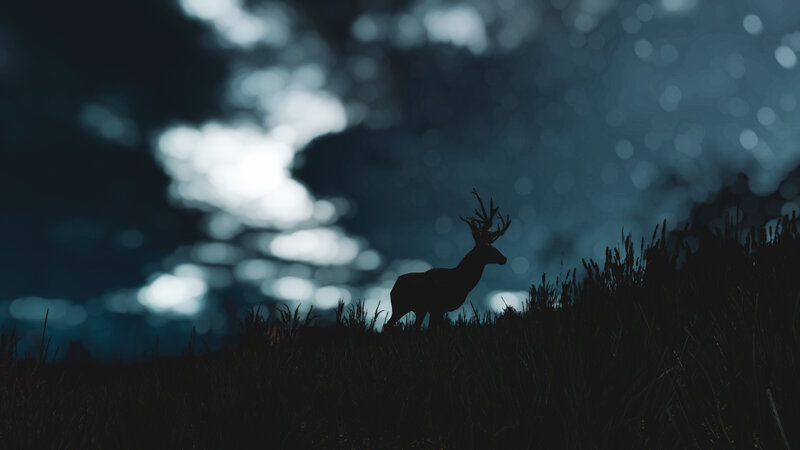 Deer Silhouette at Night — Black
