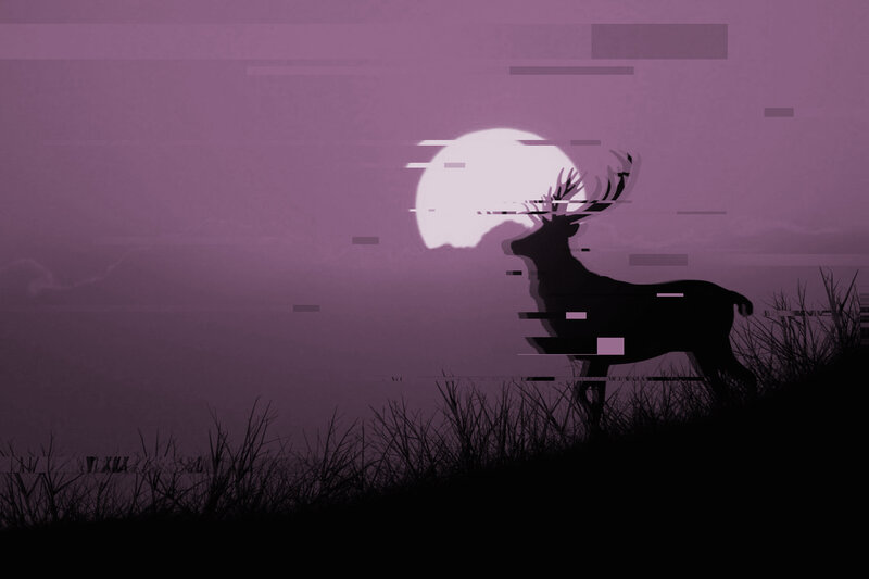 Deer Silhouette at Night