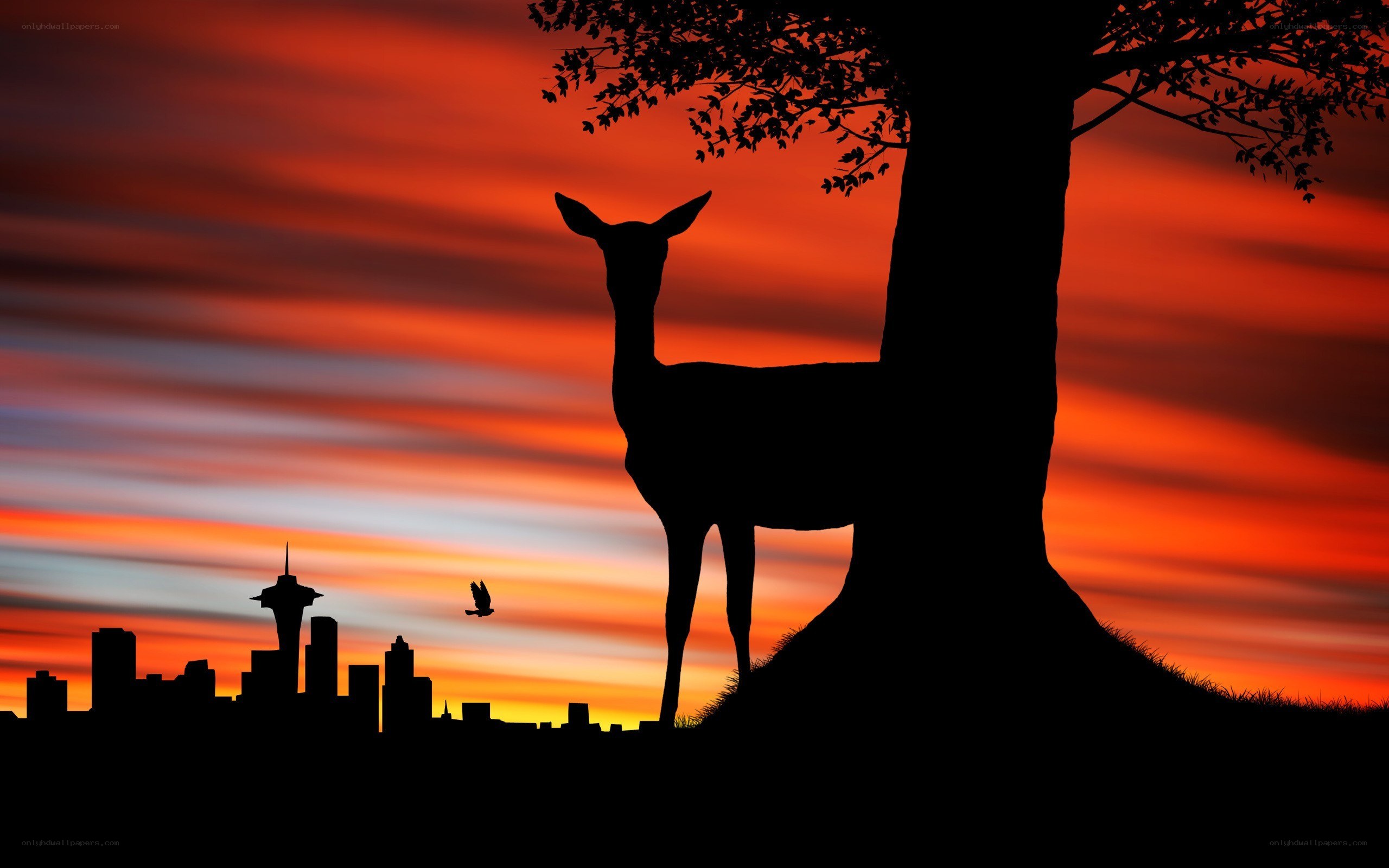 Deer Silhouette at Sunset