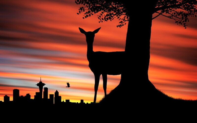 Deer Silhouette at Sunset — Orange, Serene