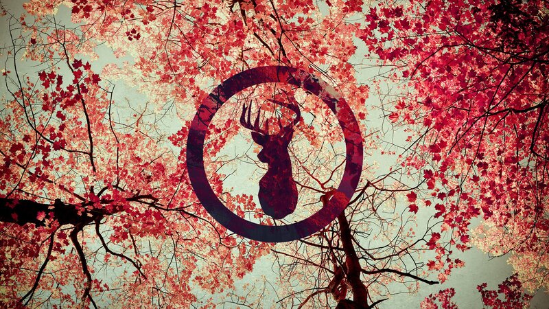 Deer Silhouette in Tree