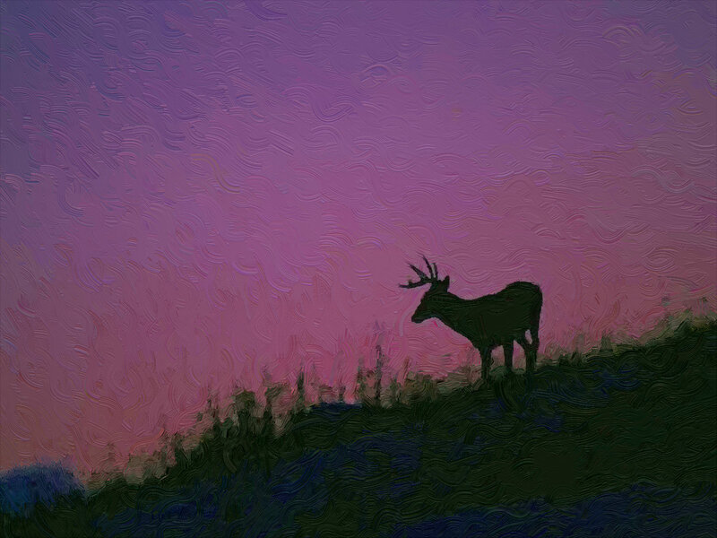 Deer Silhouette on Hill — Purple, Serene