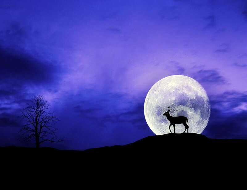 Deer Silhouette on Hill — Purple