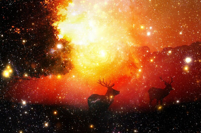 Deer silhouettes in starry sky