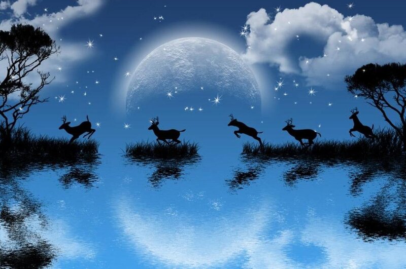 Deer Silhouettes Running