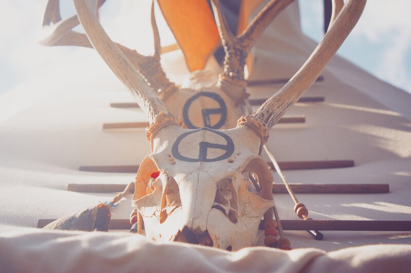 Deer Skull with Antlers — White