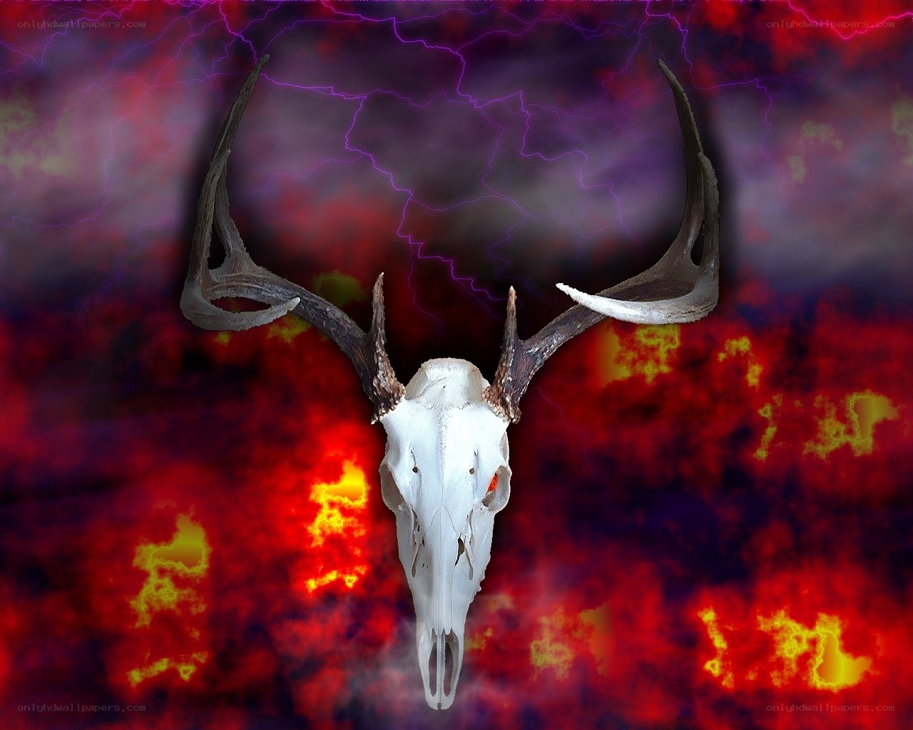 Deer skull with lightning background