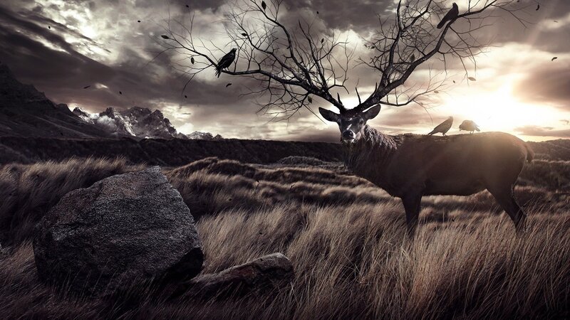 Deer under a bare tree