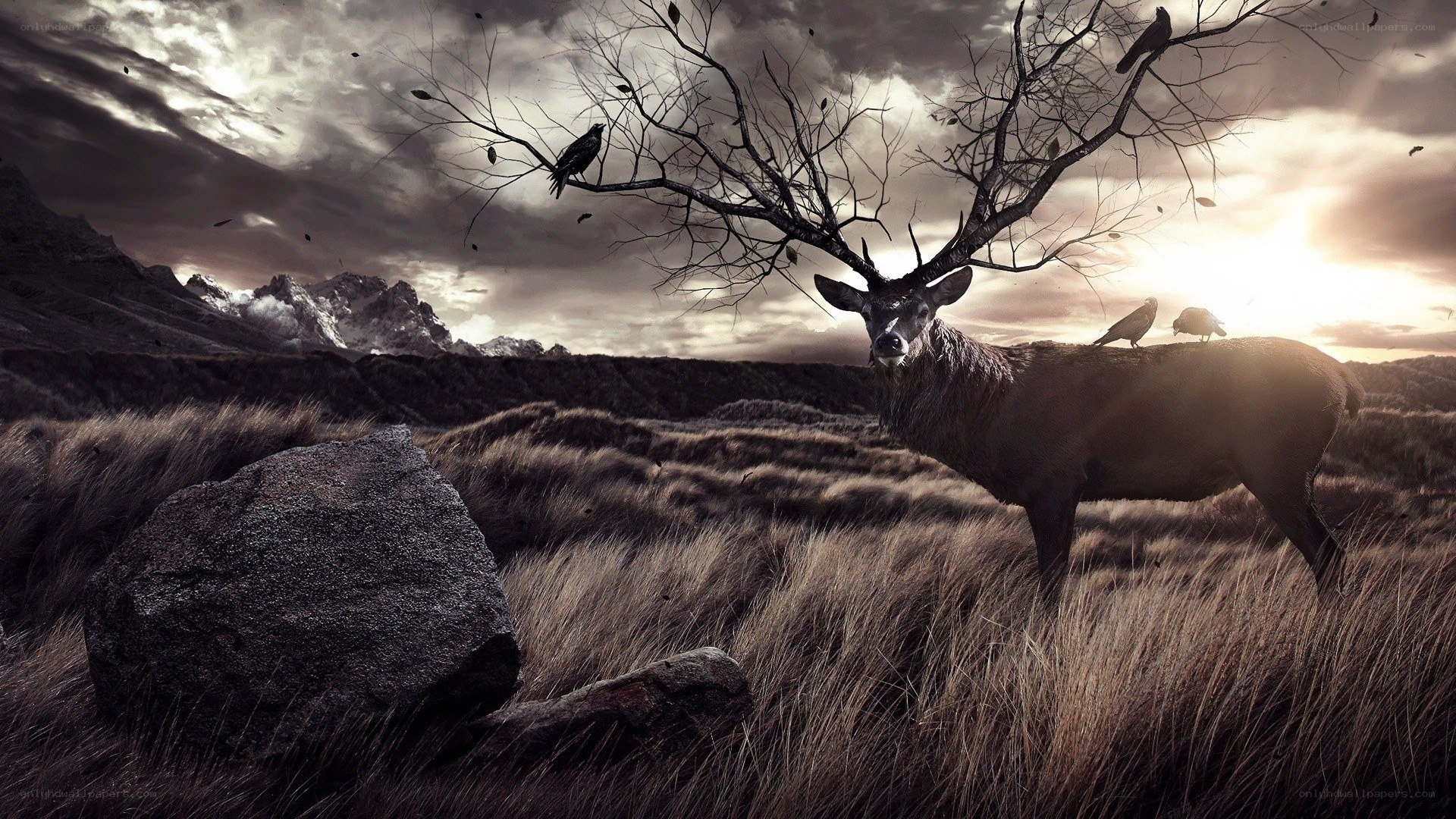 Deer under a bare tree
