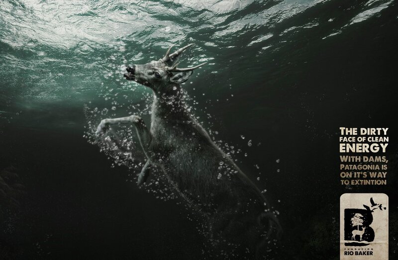 Deer underwater with text