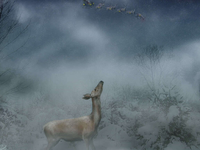 Deer watches Santa's sleigh