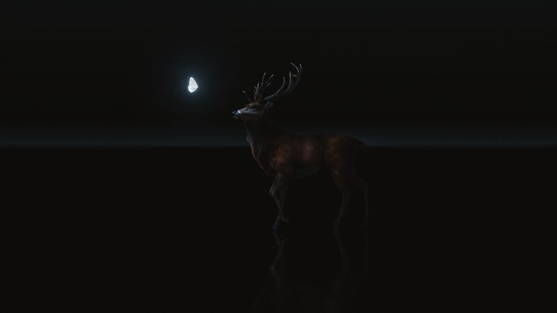 Deer with Antlers — Black, Dramatic