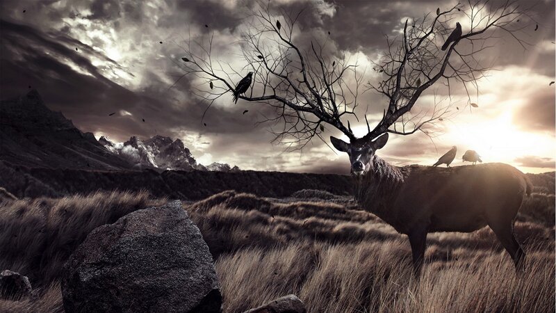 Deer with Antlers — Brown, Dramatic, Sunset, Digital Art, Birds