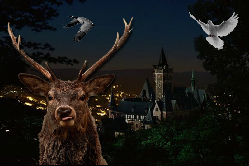 Deer with Antlers — Brown, Mysterious