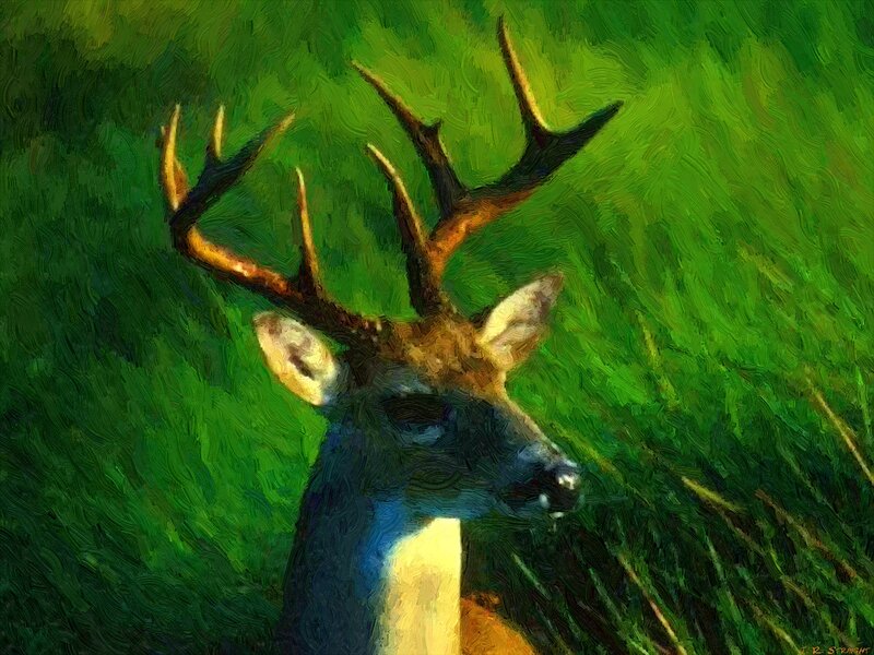Deer with Antlers — Green, Natural
