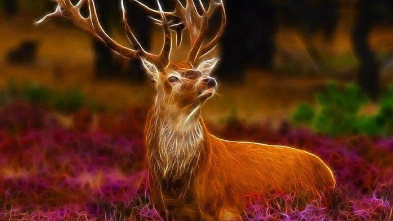 Deer with Antlers — Orange, Dramatic, Digital Art