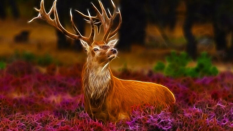 Deer with Antlers — Orange