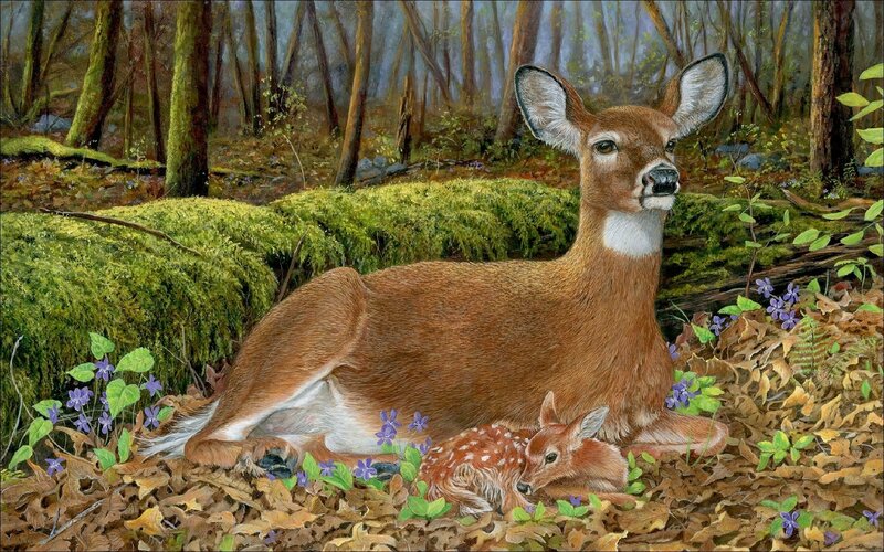 Deer with Fawn — Brown