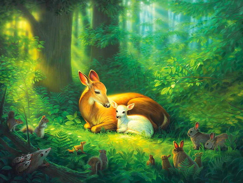 Deer with Fawn in Forest — Green, Serene