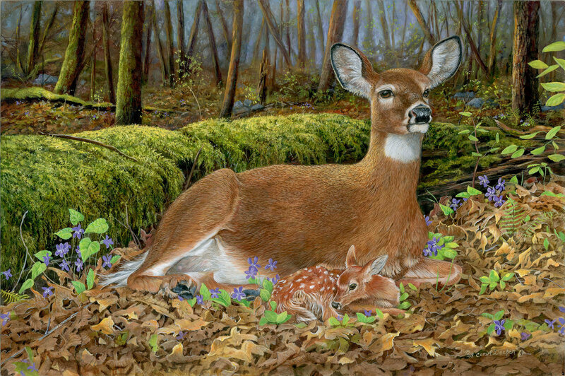 Deer with Fawn