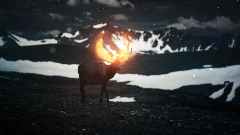 Deer with Flaming Antlers — Black, Dramatic