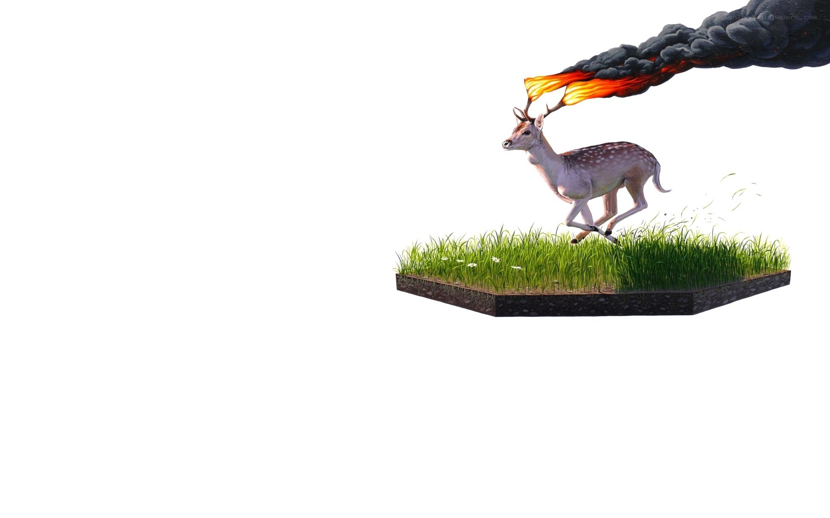 Deer with flaming antlers