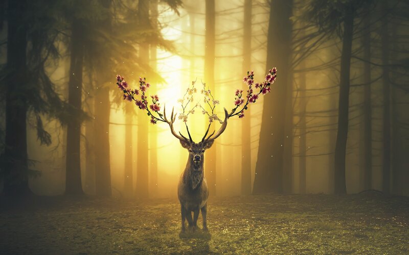 Deer with Flowering Antlers