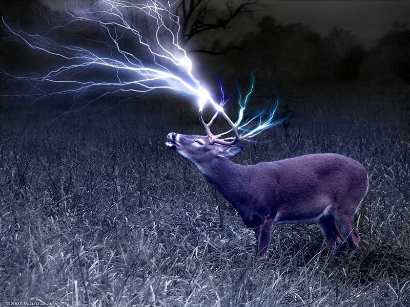 Deer with lightning antlers