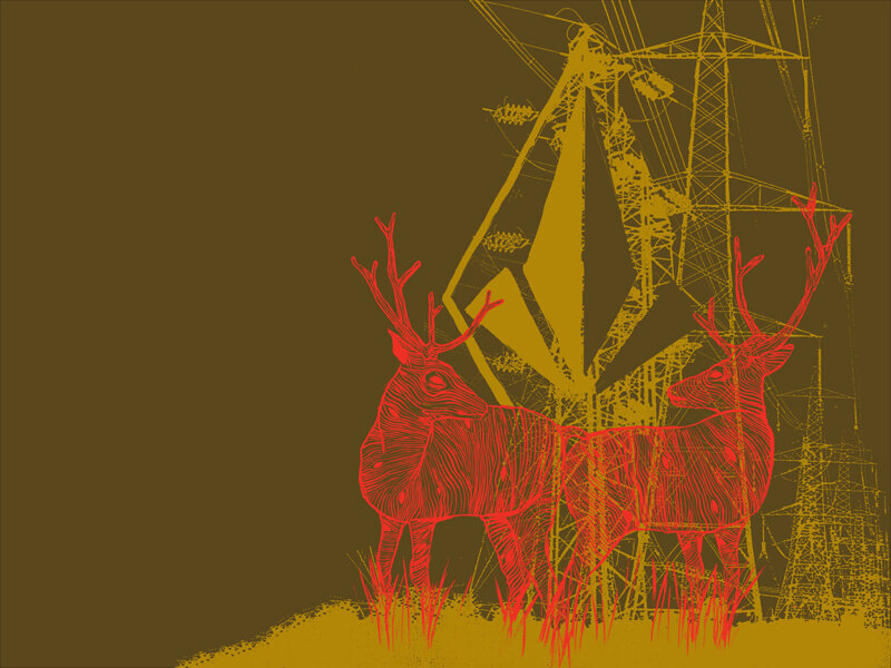 Deer with power lines