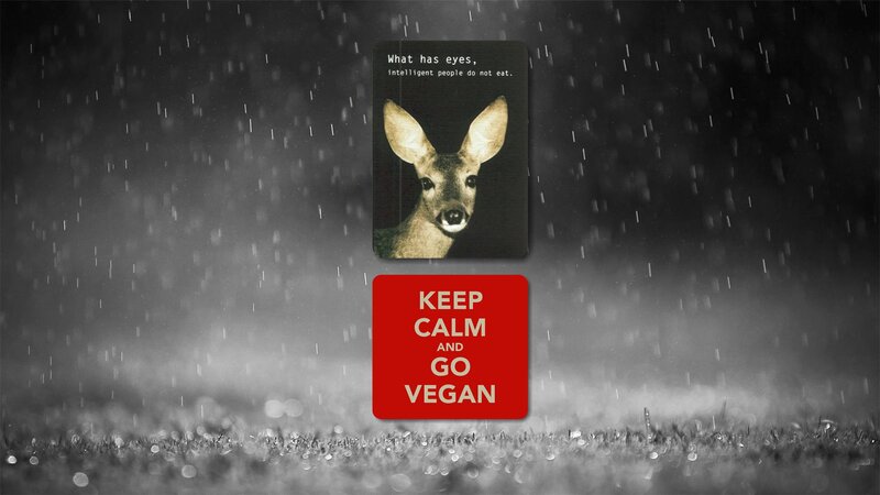Deer with Text Overlay