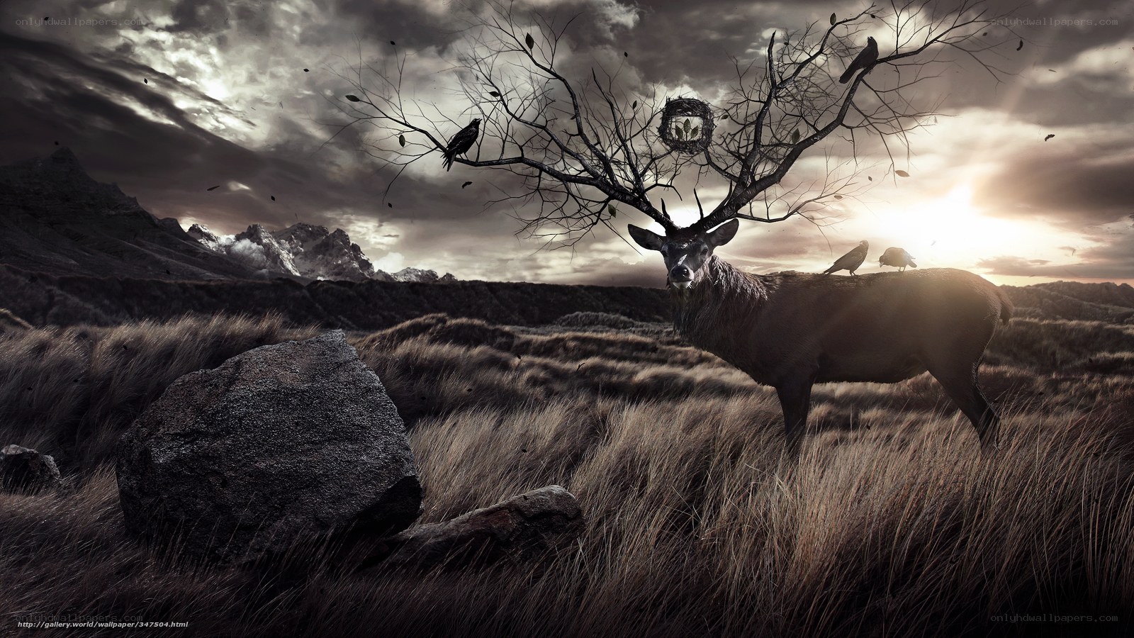 Deer with tree antlers
