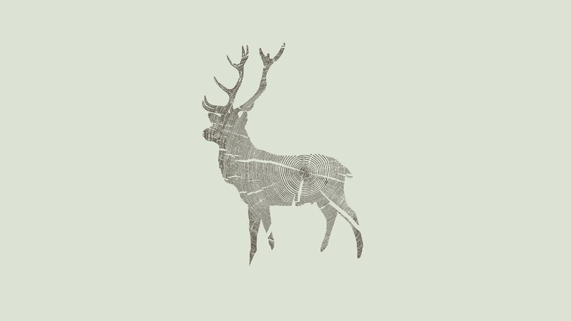 deer with tree ring pattern