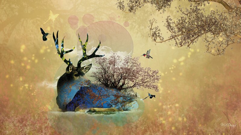 Deers Head with Antlers